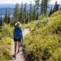Navigating Trails and Terrain: Tips and Advice for Backpackers