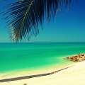 The Best Beaches in the US for Every Type of Traveler
