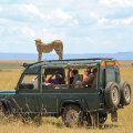 Safaris: An Adventure Destination