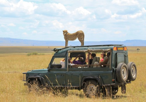Safaris: An Adventure Destination